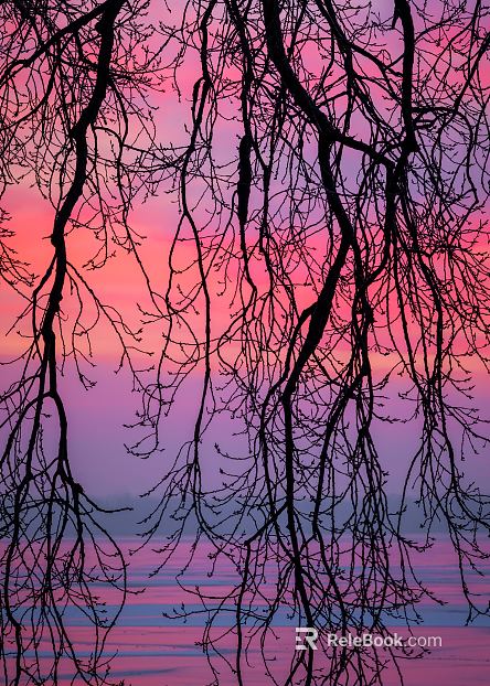 Branch texture