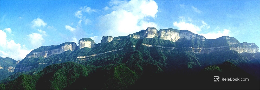 Wild Scenery texture