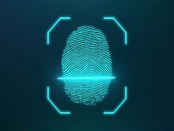 Fingerprint texture (ID:ffadf8953)