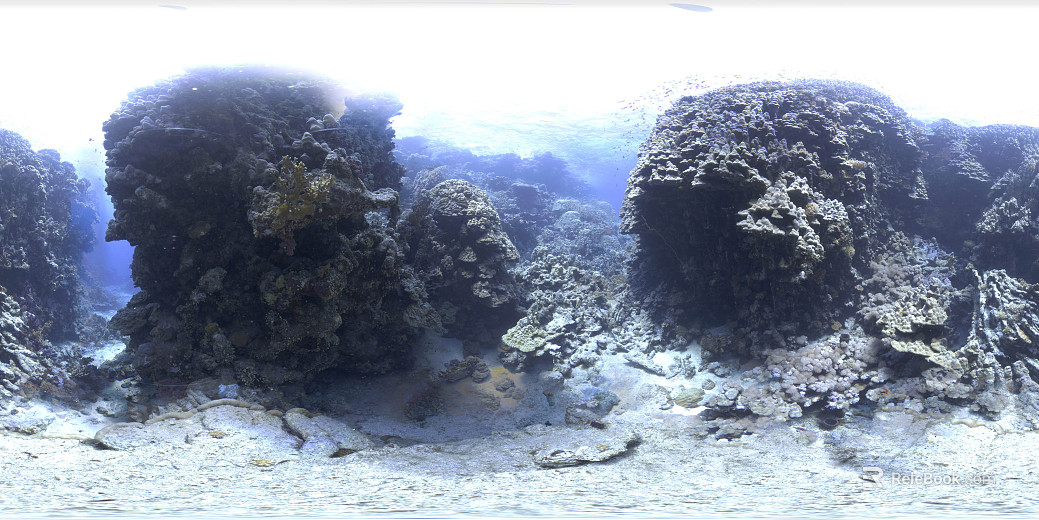 Seabed Landscape HDR texture