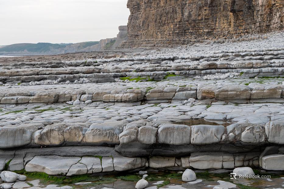 Wild Scenery texture