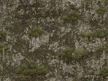moss texture (ID:ffajg16415)