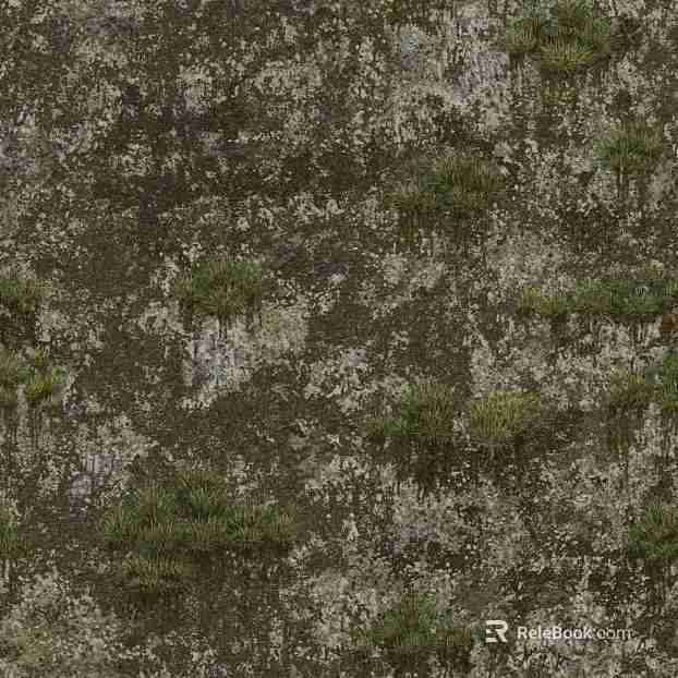 moss texture