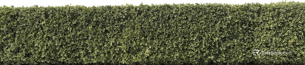 Plants texture