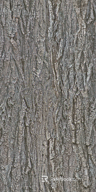 bark texture