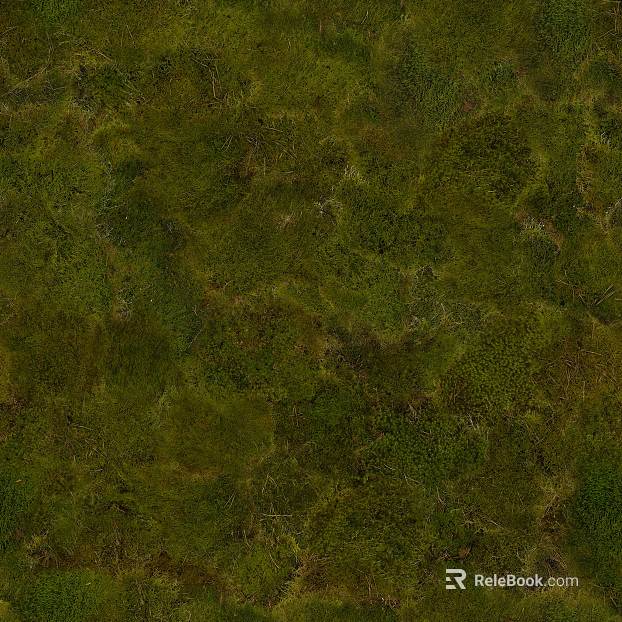 moss texture