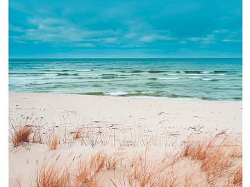 Wild Scenery texture (ID:ffaeg23235)