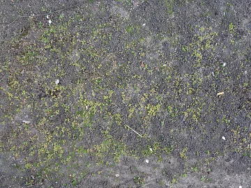 Mud texture (ID:ffaeg85413)