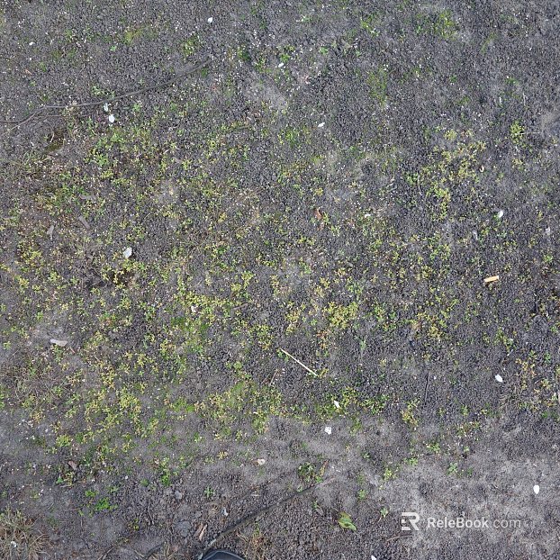 Mud texture