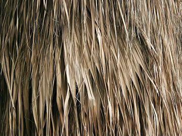 Thatch texture (ID:ffaff1030)