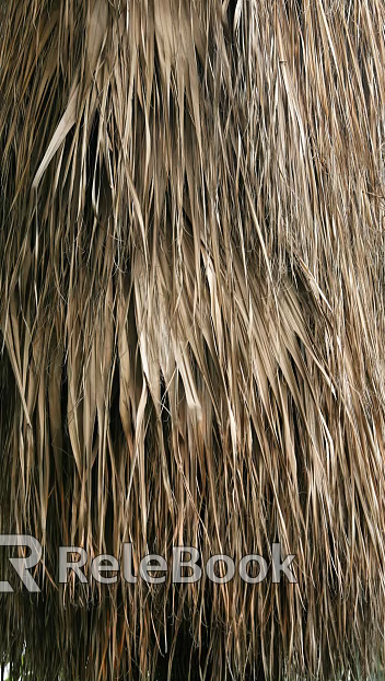 Thatch texture