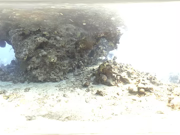 Underwater World Stone HDR texture (ID:ffabg58901)