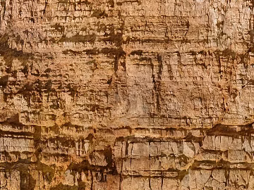 Tawny Rock Outdoor Wall Stone texture (ID:ffaeh637189)