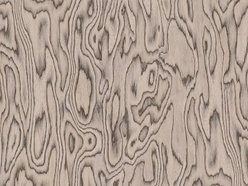 Birch Tech Wood Skin 3d model