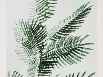 Plant painting texture (ID:ffaif3626)