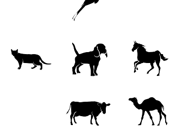 Highlight Mask texture (ID:ffaif4567)