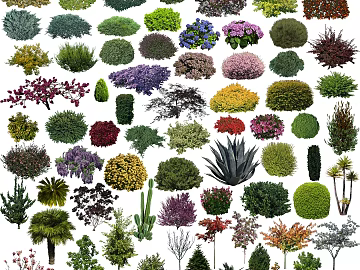 Plants texture (ID:ffagg90192)