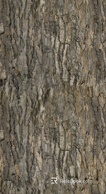 bark texture