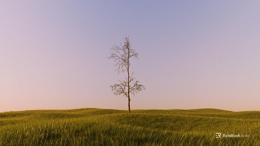 Wild Scenery texture