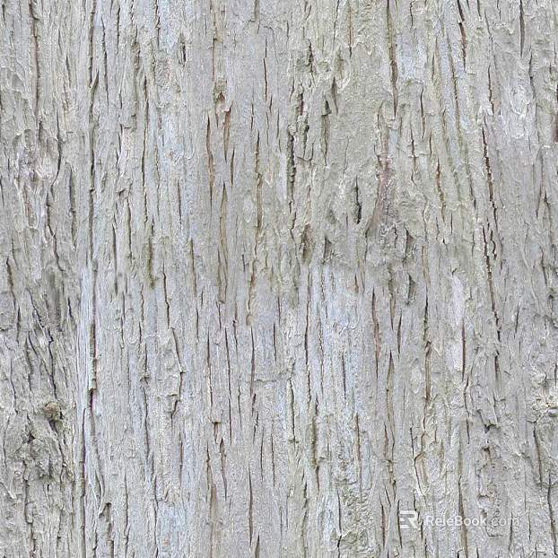 bark texture