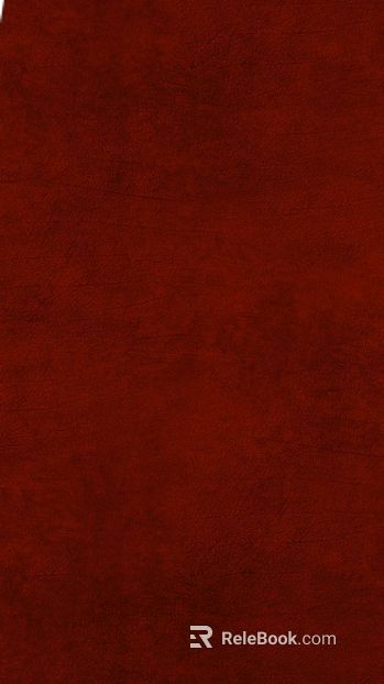 Dark Red Coarse-Grain Leather Wall Bag texture