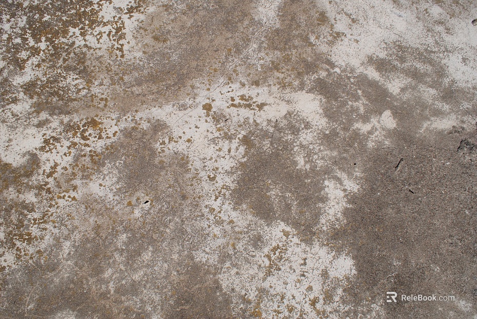 Cement wall texture