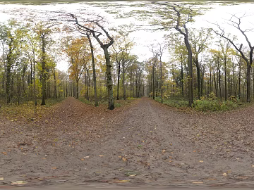 autumn outdoor woods daytime hdr texture (ID:ffhbe270)