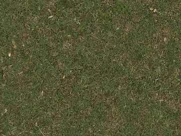 Grassland texture (ID:ffaeg68559)