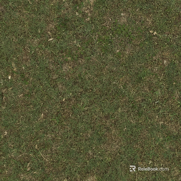 Grassland texture