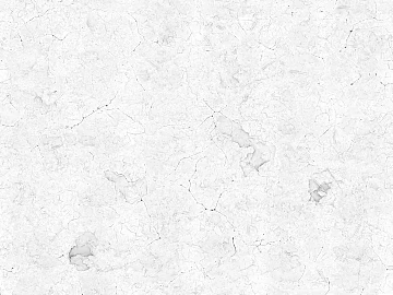 Black and White Bump texture (ID:ffacg45875)