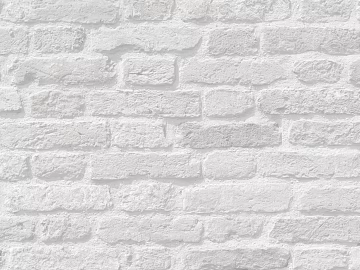 Culture Stone White Culture Stone texture (ID:ffaag95152)