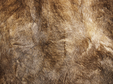 animal skin texture (ID:ffaeg27643)