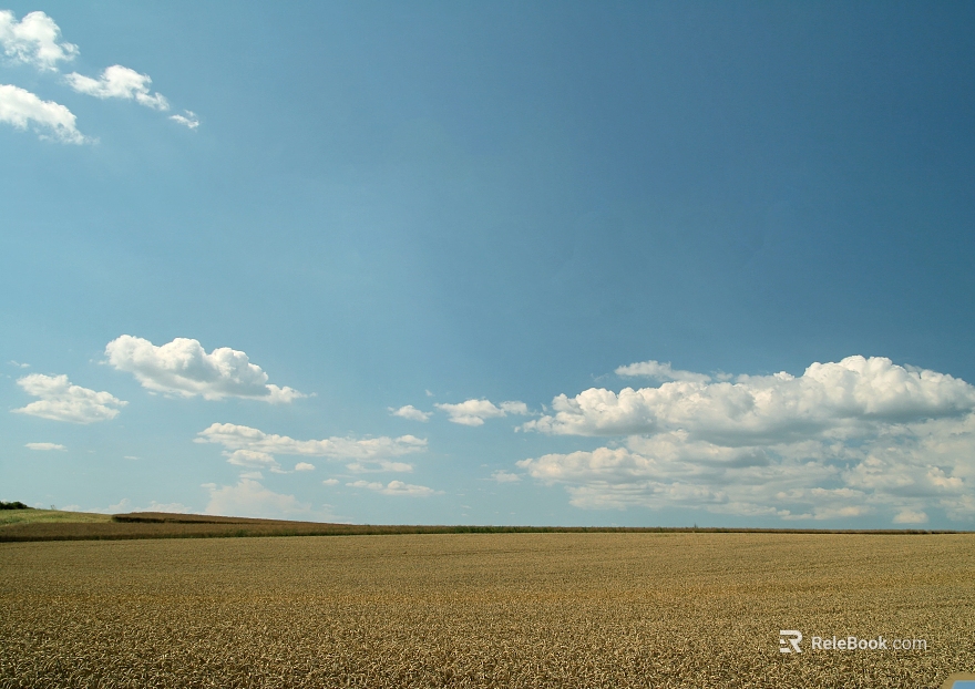 Wild Scenery texture