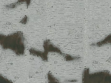 bark texture (ID:ffagg69043)
