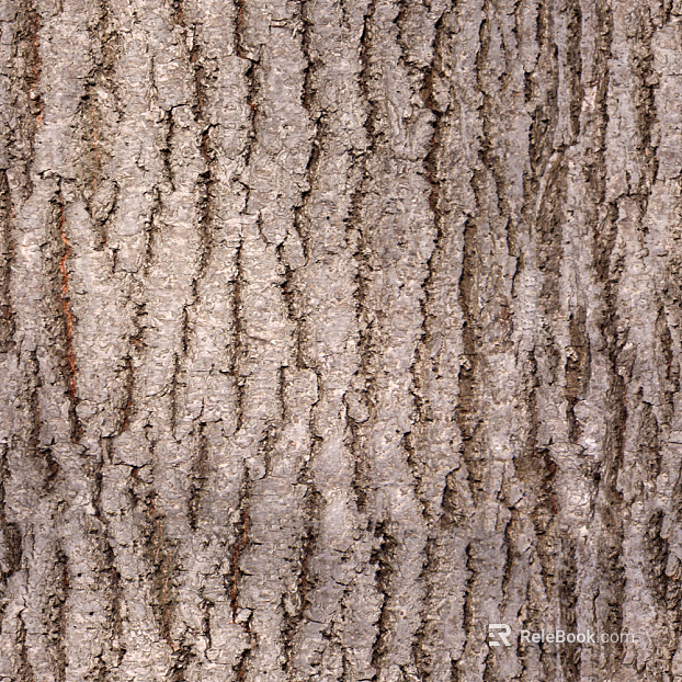 bark texture