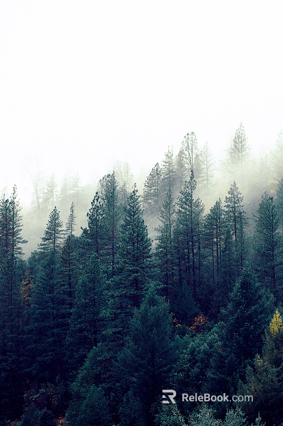 Wild Scenery texture