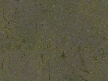 Grey with moss earth ground texture (ID:ffaeh311139)