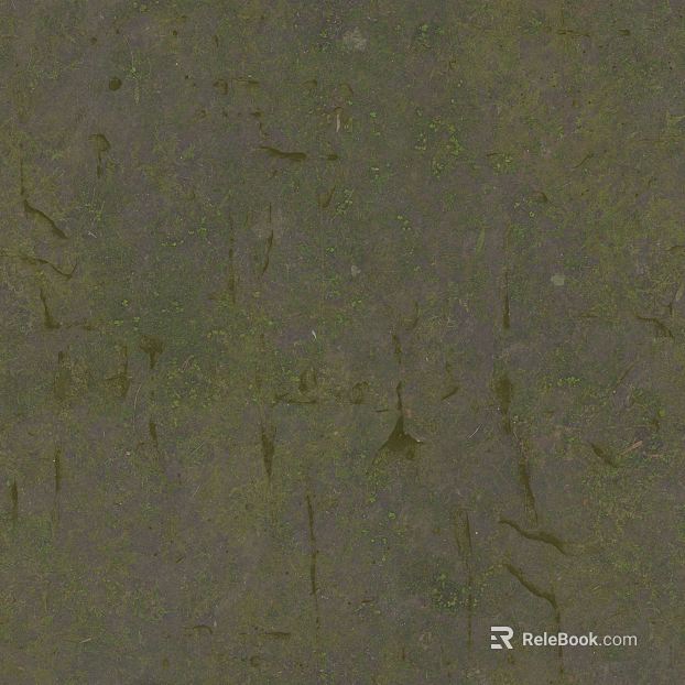 Grey with moss earth ground texture