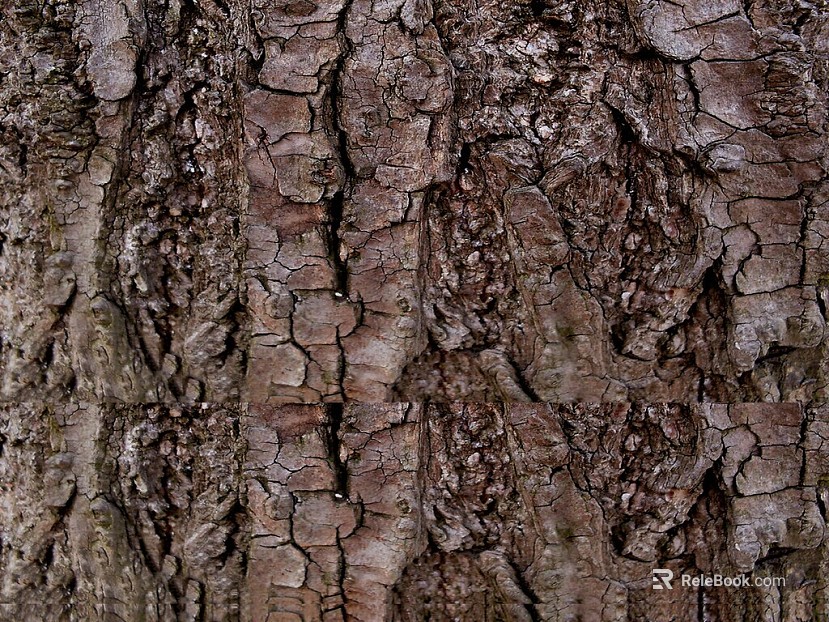bark texture