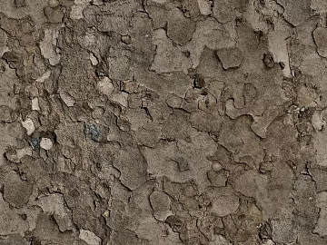 Soil texture (ID:ffach407566)