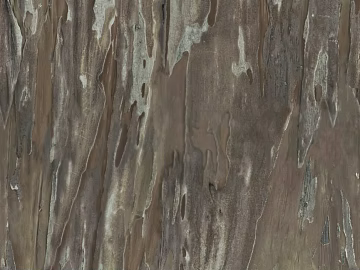 bark texture (ID:ffacg05944)