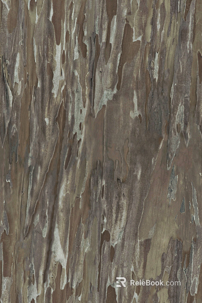 bark texture