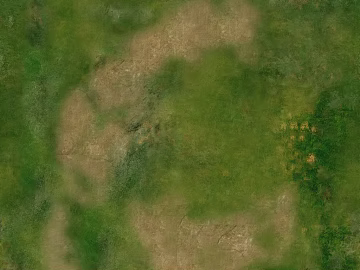 Grassland texture (ID:ffagg03360)