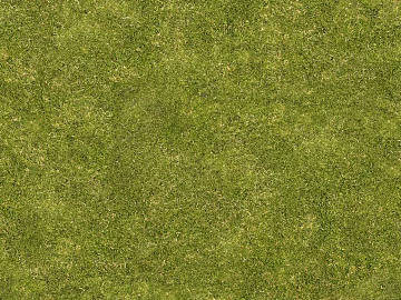 Turf ground texture (ID:ffabf4571)
