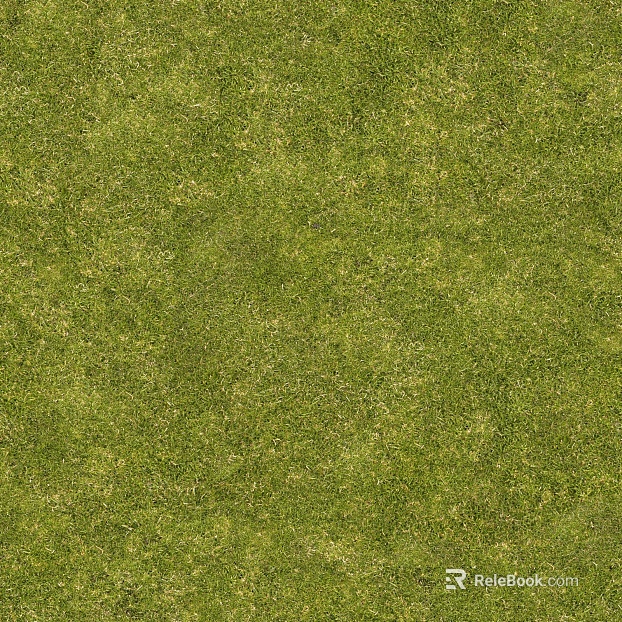 Turf ground texture