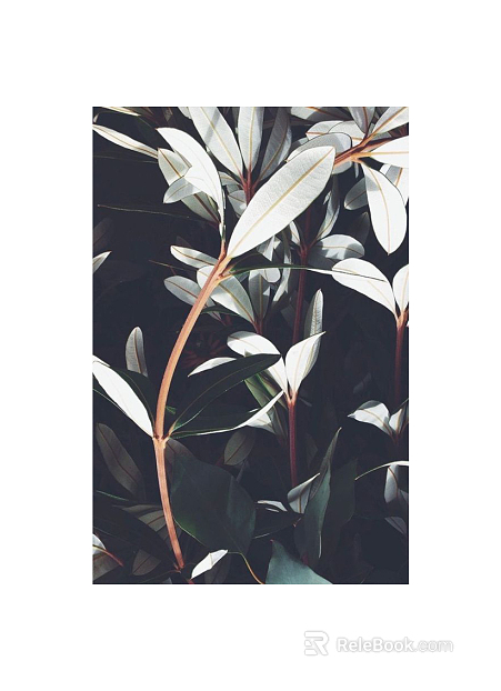 Plant painting texture