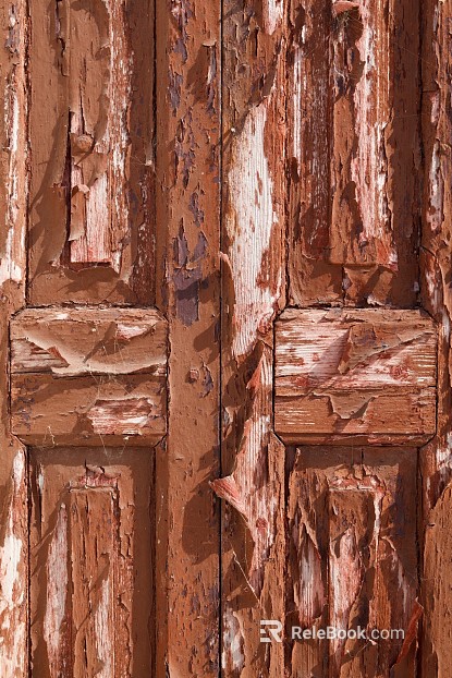 Wooden door texture
