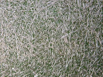 glass fiber texture (ID:ffajh765067)