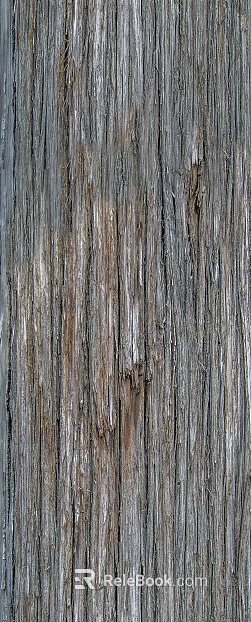bark texture