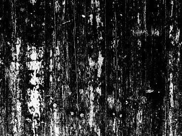 Black and white wooden panel texture (ID:ffacg18700)